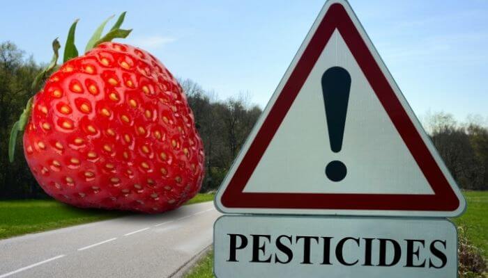 strawberry pesticides