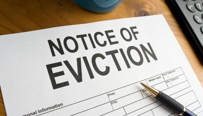 if your landlord finds out you have a cat you could face eviction