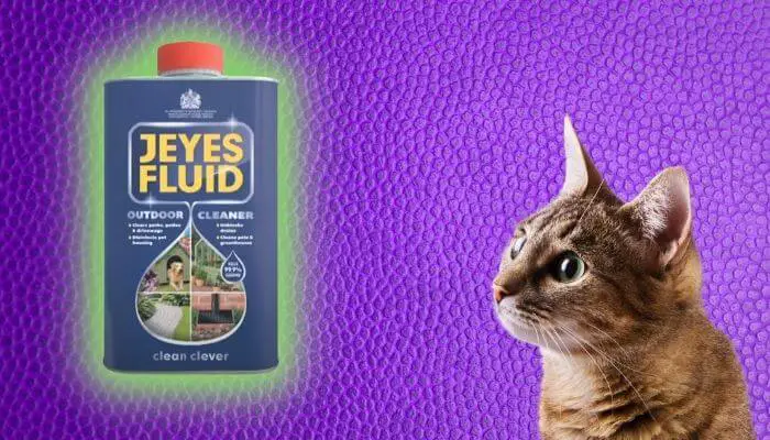 will jeyes fluid deter cats