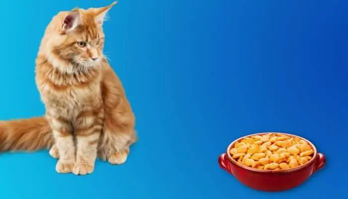 can cats eat goldfish crackers