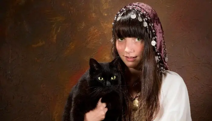 black cats were once believed to be witches in disguise
