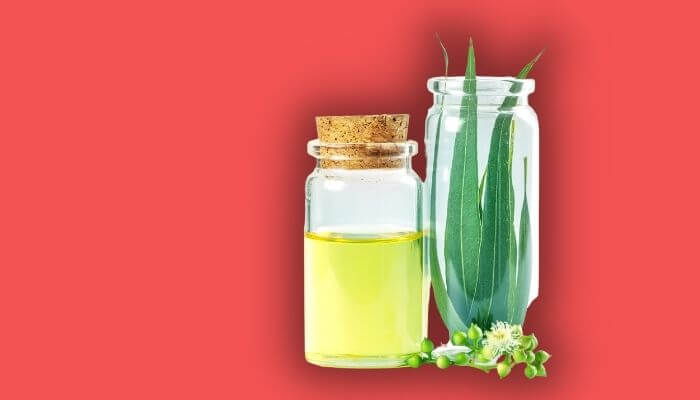 eucalyptus oil is toxic to cats