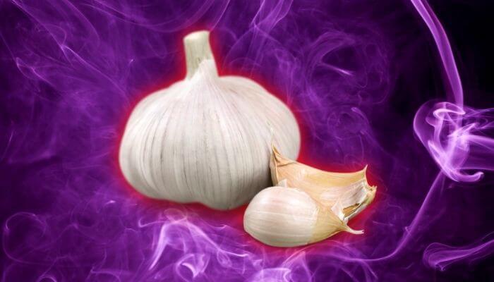 garlic is toxic to cats