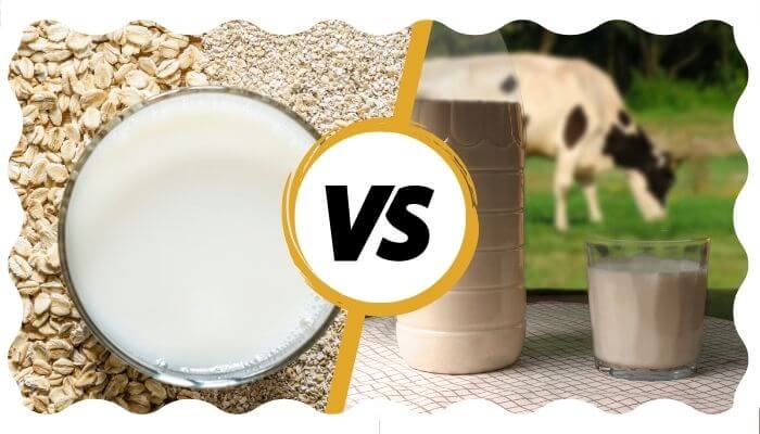oat milk vs cows milk