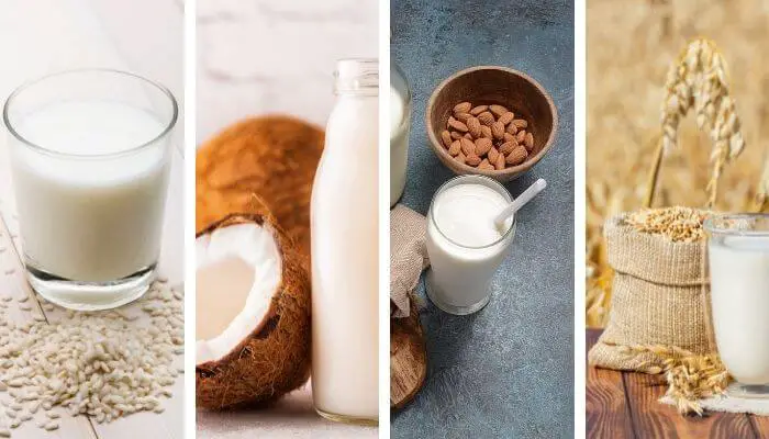 4 chocolate milk alternatives for cats