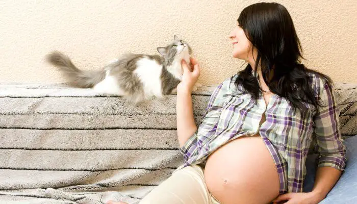 dumping cat litter can endanger pregnant women