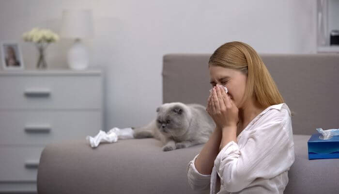 adults can suddenly develop cat allergies