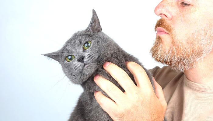 an indifferent cat being held by a man with a short beard