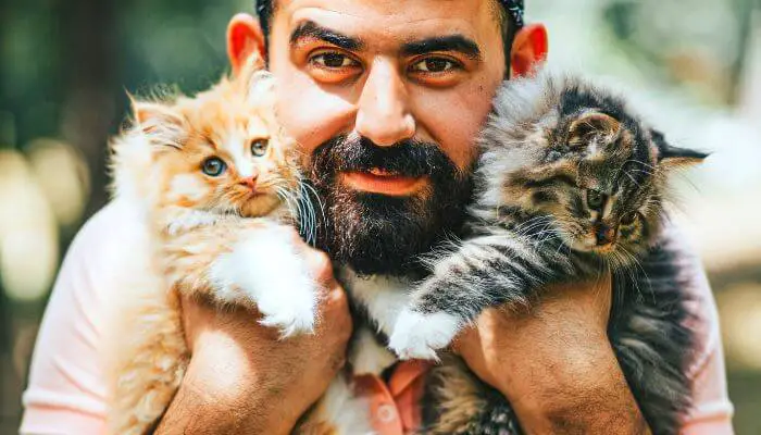 bearded man with two cats
