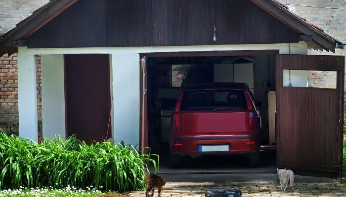 a red car in a garage with two cats approaching it