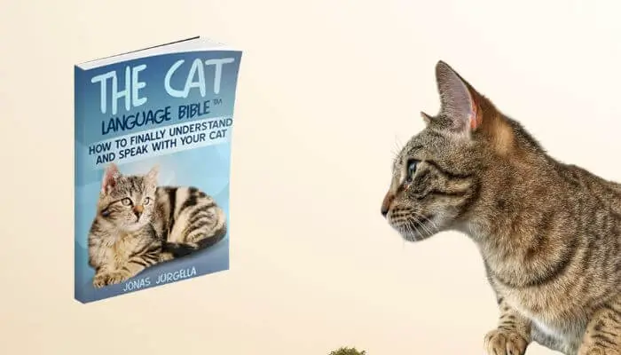 review of the cat language bible