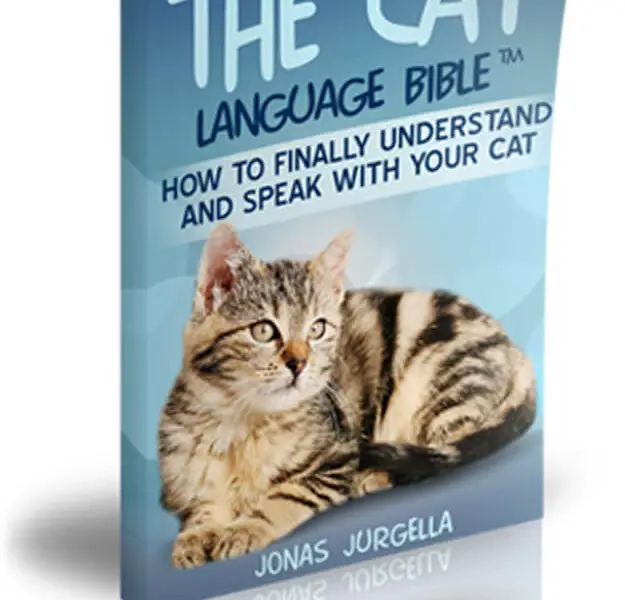 the-cat-language-bible-review