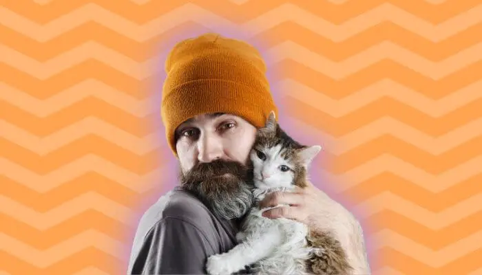 why do cats like beards