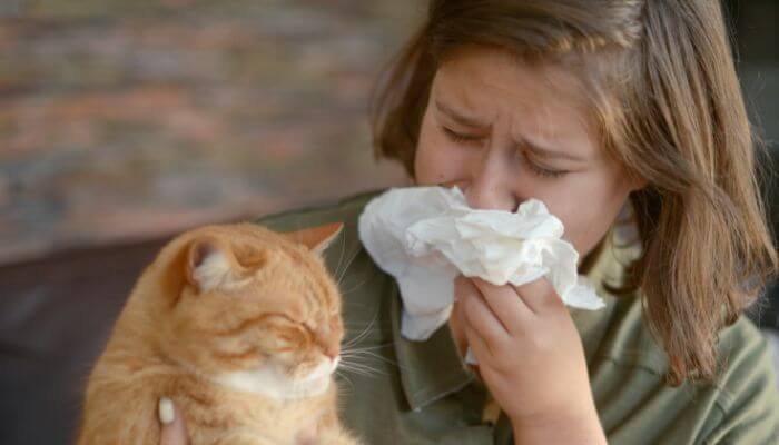 woman with a cat allergy