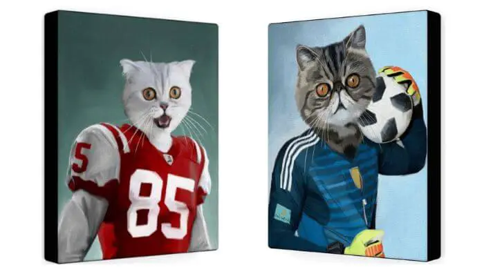 american football and soccer cats