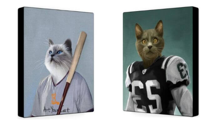 baseball and american football cats