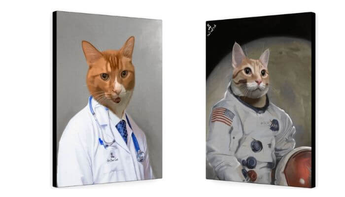 doctor and astronaut cats