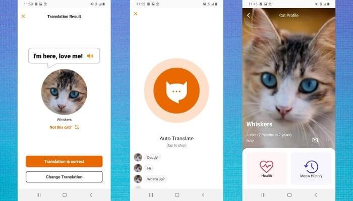 the meowtalk app