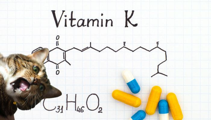 vitamin K