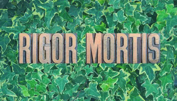 'rigor mortis' on green background